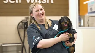 Petco Dog Trainer Job