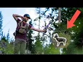 STEEP Archery Shots PARK CITY Utah Total Archery Challenge