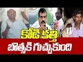 Lagu చంద్రబాబే పొడిపించాడు.. | TDP Leader Ayyanna Patrudu About Botsa Over Kodi Kathi Case | TV5 News