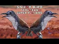 Download Lagu Pancingan burung sniper gacor