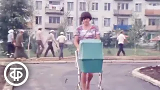 Перспективы совхоза "Москворецкий". Новости. Эфир 7 сентября 1978