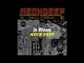Download Lagu Neck Deep - In Bloom (lirik dan terjemahan indonesia)