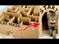 Download Lagu GIANT Maze Labyrinth for Cat Kittens. Can they EXIT?