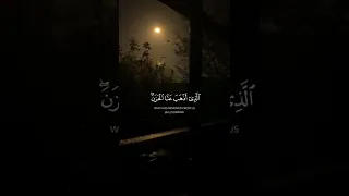 و ق ال وا الحمد لله الذي أذهب عنا الحزن  القارئ أحمد النفيس   دندنها