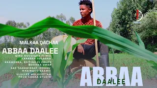 Malkaa Qachaa Abbaa Daalee New Ethiopian Oromo Music 2025 