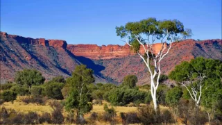 Home Among The Gumtrees Jesse Bloch Remix