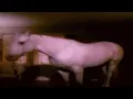 If gifs had sound