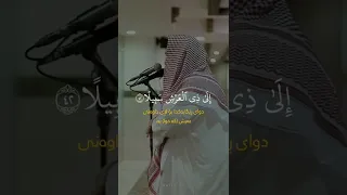 القارئ الشيخ يوسف العيدروس سورة الإسراء 