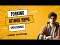 How to Fork a GitHub Repo Step-by-Step Guide for Beginners