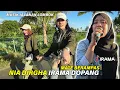 Download Lagu Aransemen Sasak Mate Berampas Musik Jalanan Irama Dopang Dengan Penyanyi Nia Dirgha