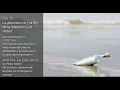 Download Lagu Día 12 del RETO 21 días MEDITACIÓN ABUNDANCIA con DEEPAK CHOPRA