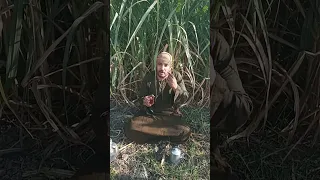 مواويل صعيدي اسمع اسمع يا اللي أكلت الحرام 