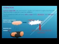 Igneous pegmatites-Formation chemical contents and economic importances