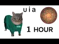 Download Lagu OIIAOIIA CAT x Mingle Song 1 Hour Squid Game Season 2