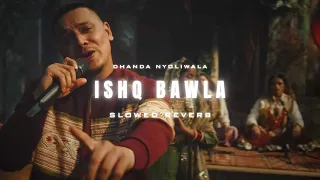 ishq bawla slowed u0026 reverb dhanda nyoliwala