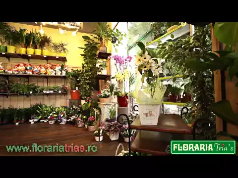 Floraria Trias - Prezentare generala