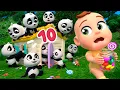 Download Lagu Counting 10 Little Pandas | Lalafun Nursery Rhymes \u0026 Kids Songs