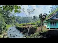 Download Lagu PANTES SAJA‼️Banyak orang kota mengidamkan kampung ini,terlalu indah super sejuk cocok untuk ngadem