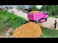 Download Lagu WONDERFUL Start Project LANDFILL BY Expert Driver Dozer KOMATSU D31P Pushing Soil with 5T DumpTrucks