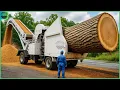 Download Lagu Dangerous Wood Chipper \u0026 Big Chainsaw Cutting Tree Machines | Monster Stump Removal Excavator #3