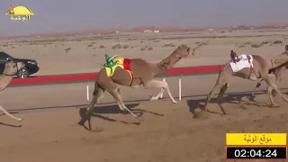 الشوط 19 مثيره لـ حمد محمد علي الدرعي 4 31 04 شارة الاتحاد 2020 1 9 الوقن حقايق 