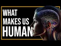 Human Uniqueness How Our Brains Set Us Apart in the Animal Kingdom