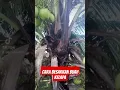 Download Lagu #malaysia #viral #viralvideo #madani #kerajaanperpaduan #video #videos #videoviral