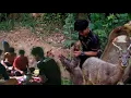 Download Lagu Dua hari dua malam bermalam di hutan memburu babi hutan dan menangkap ikan di hulu sg kinabatangan😱