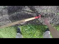 DC MG - Garden Demo Series with Brian Barnes Cultivating with a Hula Hoe