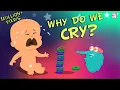 Download Lagu Why Do We Cry - The Dr. Binocs Show | Best Learning Videos For Kids | Peekaboo Kidz