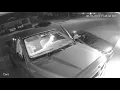 Carson City Vehicle Burglary