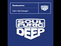 Soulsearcher - Can't Get Enough ! (Vocal Club Mix) - Soulforic Deep - 1999