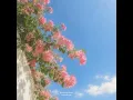 The Day Felt Sweet and Slow