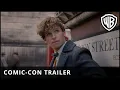 Video di Animali Fantastici: I Crimini di Grindelwald - Comic Con Trailer
