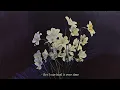 Download Lagu REGI FLIH - You Time (Official Lyric Video)