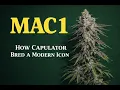 THE MAC 1 STORY BRED BY CAPULATOR