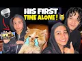 Download Lagu LEFT MY KITTEN ALONE … FOR A MOVIE?! 😳 #alizehjamali