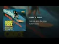 Shake 'n' Stomp - Dick Dale & His Del-Tones