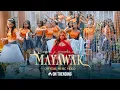 Download Lagu HANA X CHAMMA JAY - MAYAWAK (මායාවක්) Official Music Video