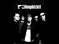 Download Lagu KUMPULAN LAGU TERBAIK LIMP BIZKIT