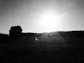 Download Lagu Slowdive - When the Sun Hits (slowed + reverb)