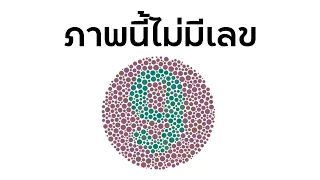 รีวิวประสบการณ์การใช้ชีวิตของคนตาบอดสี