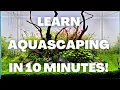 Complete Aquascaping Beginners Guide - Learn ALL The Basics