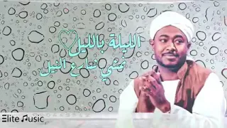 اغنيه الليله باليل شكرالله عزالدين دندنها