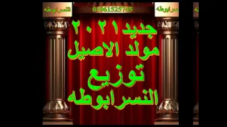 مولد الاصيل النسرابوطه ملوش بديل جديد2021النسربردكشن توزيع النسرابوطه 
