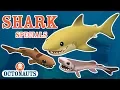 Download Lagu Octonauts - Creature Reports | Shark Week Special