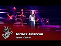 Download Lagu Tomás Pascoal -\