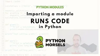 Python module imports run code