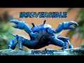 Lagu Crab Rave Irreversible Version (Edits)