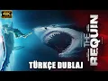 Dev Köpekbalığı (THE REQUİN) 2022 I Türkçe Dublaj İzle Gerilim Filmi